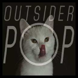 Paul Hawkins And The Awkward Silences - Outsider Pop